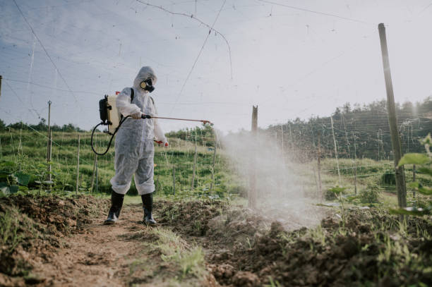 Best Pest Prevention Services  in Pigeon Forge, TN