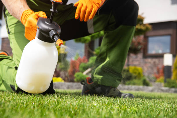Flea Control Services in Pigeon Forge, TN