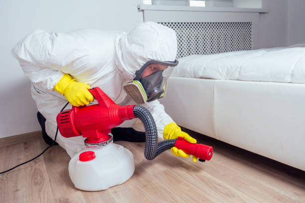 Best Best Pest Control Companies  in Pigeon Forge, TN