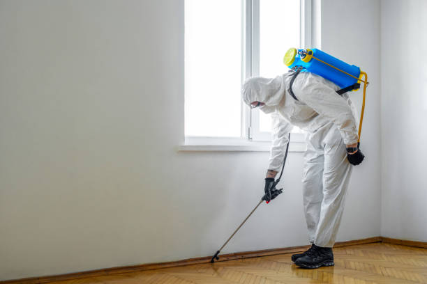 Best Termite Control Services  in Pigeon Forge, TN