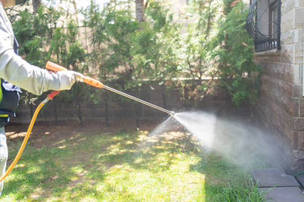 Best Residential Pest Control  in Pigeon Forge, TN