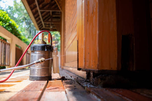 Best Ant Control Services  in Pigeon Forge, TN
