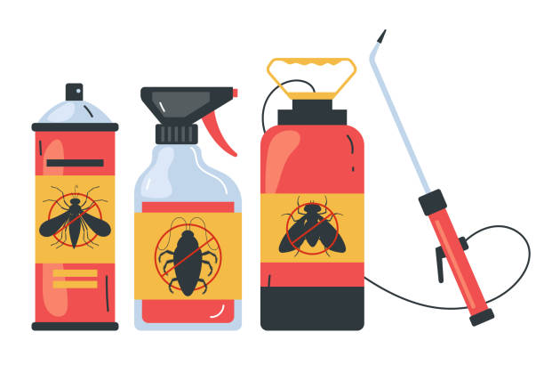 Best Wasp Removal Services  in Pigeon Forge, TN