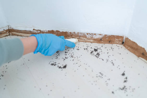 Pigeon Forge, TN Pest Control Company